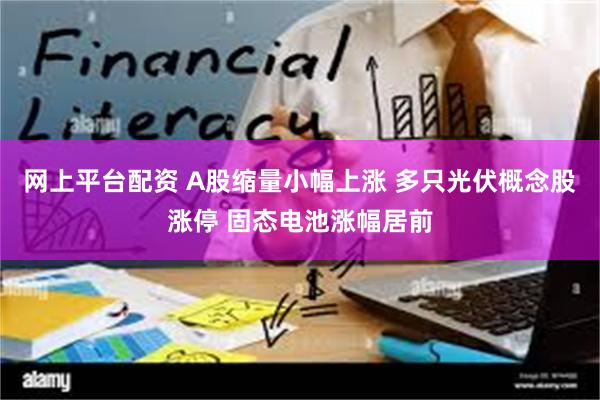 网上平台配资 A股缩量小幅上涨 多只光伏概念股涨停 固态电池涨幅居前