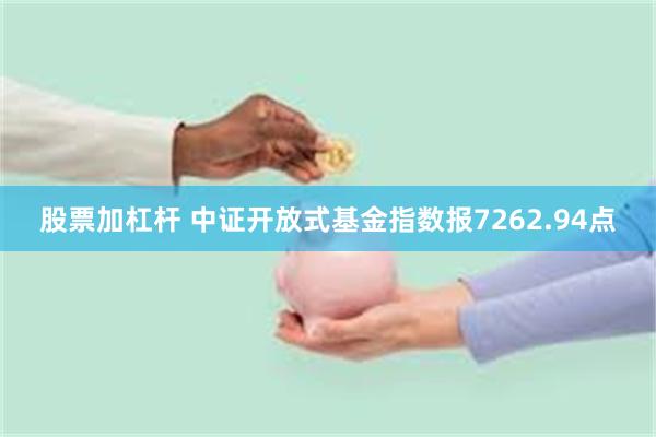 股票加杠杆 中证开放式基金指数报7262.94点