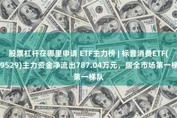 股票杠杆在哪里申请 ETF主力榜 | 标普消费ETF(159529)主力资金净流出787.04万元，居全市场第一梯队