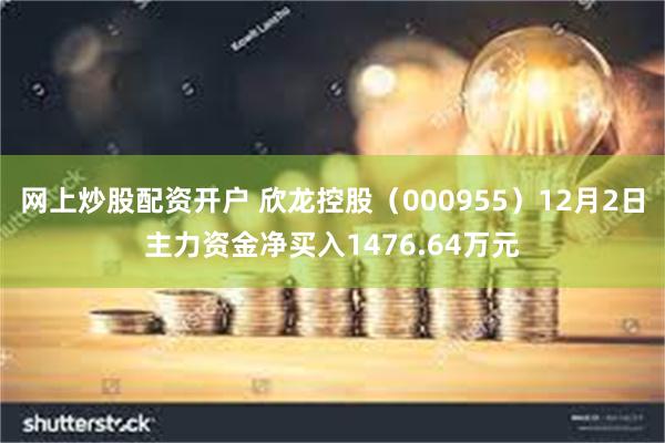 网上炒股配资开户 欣龙控股（000955）12月2日主力资金净买入1476.64万元