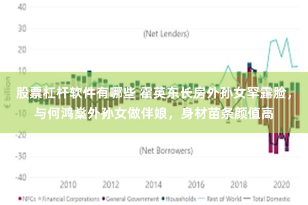 股票杠杆软件有哪些 霍英东长房外孙女罕露脸，与何鸿燊外孙女做伴娘，身材苗条颜值高