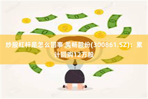 炒股杠杆是怎么回事 美畅股份(300861.SZ)：累计回购12万股